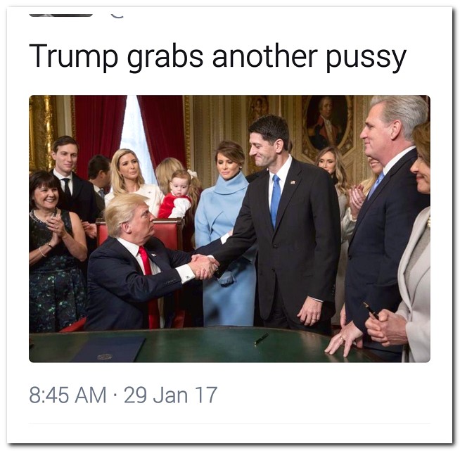 congress and the president - Trump grabs another pussy 29 Jan 17