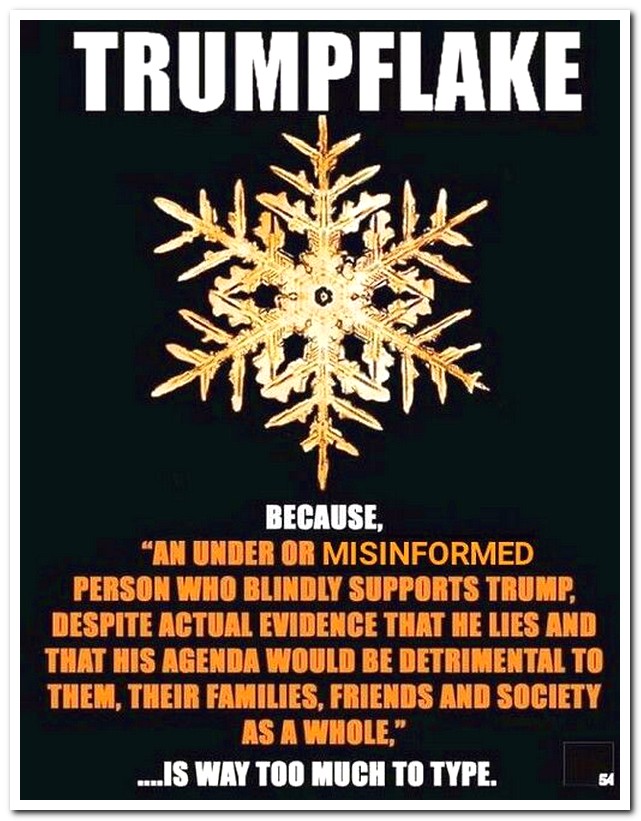 trump flake meme - Trumpflake Because "An Under Or Misinformed Person Who Blindly Supports Trump, Despite Actual Evidence That He Lies And That His Agenda Would Be Detrimental To Them, Their Families, Friends And Society As A Whole, ...Is Way Too Much To 