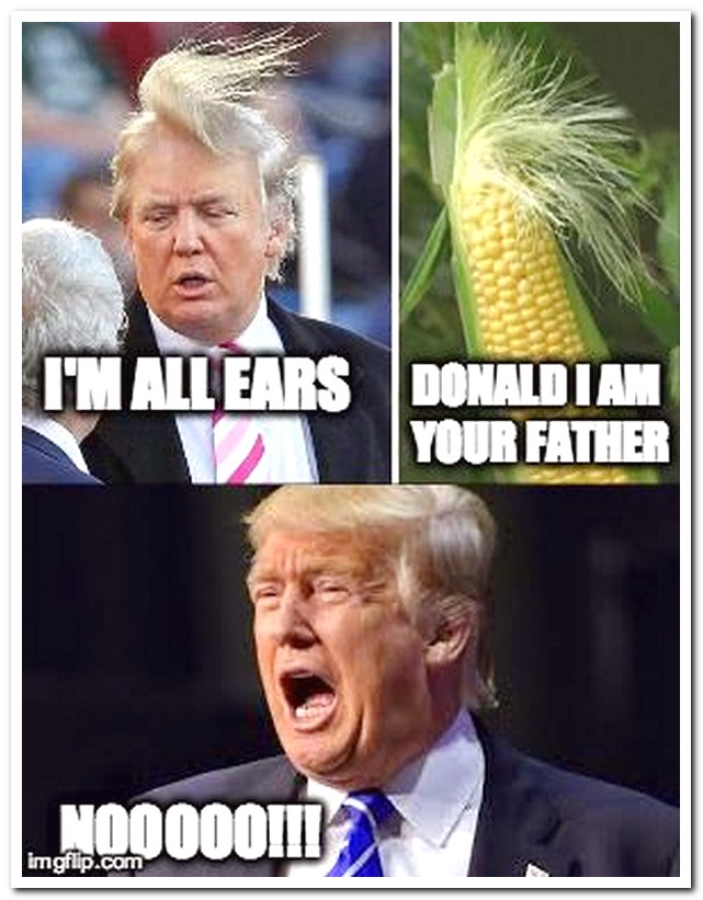 donald trump meme corn - I'M All Ears Donaldiam Your Father NO0000M