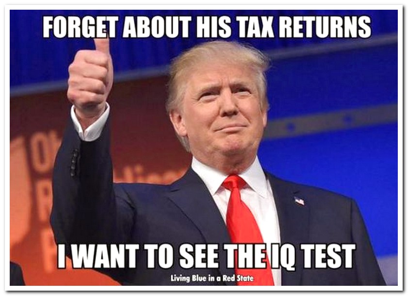 donald trump - Forget About His Tax Returns I Want To See The Iq Test Living Blue in a Red State