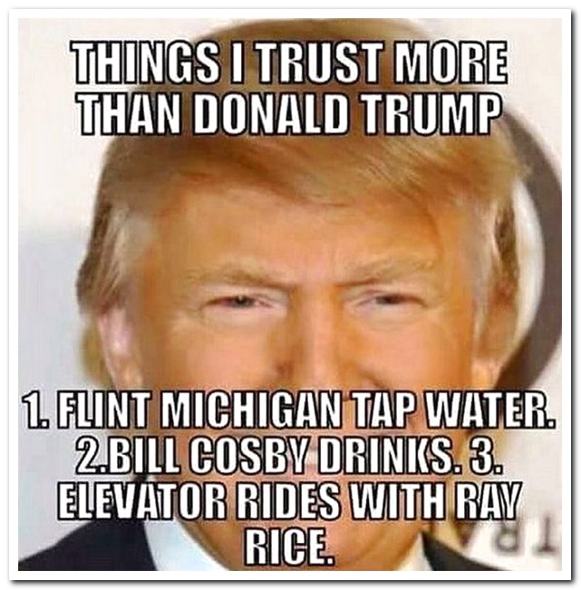 funny trump things - Things I Trust More Than Donald Trump 1. Flint Michigan Tap Water. 2.Bill Cosby Drinks. 3. Elevator Rides With Ray Rice