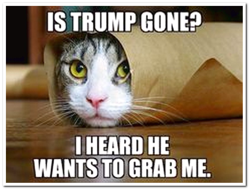photo caption - Is Trump Gone? I Heard He Wants To Grab Me.