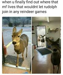 deer biscuits - when u finally find out where that mf lives that wouldnt let rudolph join in any reindeer games