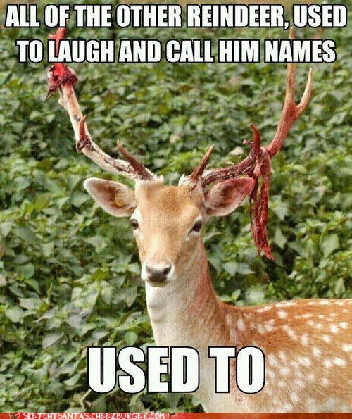 funny hunting memes - All Of The Other Reindeer, Used To Laugh And Call Him Names V 32 Used To Sketchy Santas.Cheezburger.Com
