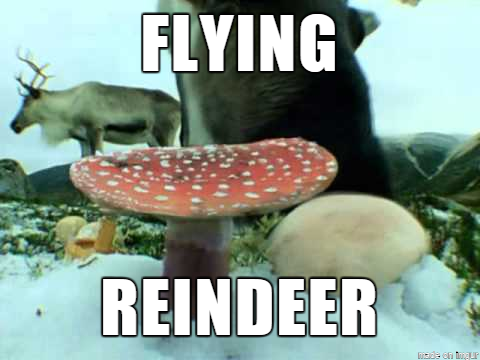 Flying Reindeer hade har