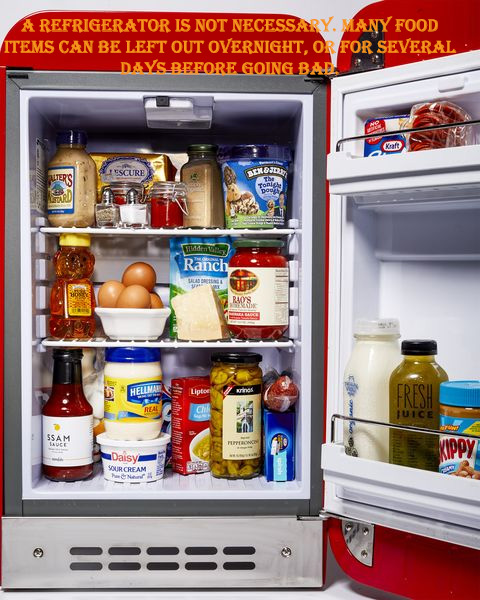 small refrigerator for college - A Refrigerator Is Not Necessary. Many Food Items Can Be Left Out Overnight, Or For Several Days Before Going Bar Cart Escure Gold Ranch of Helume Juice the sur Kippy Daisy Your Cream 38888