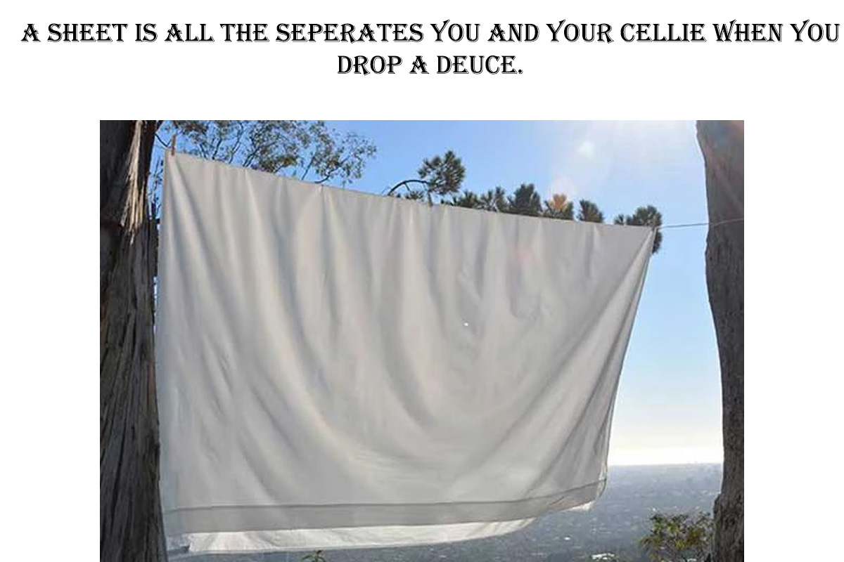 shade - A Sheet Is All The Seperates You And Your Cellie When You Drop A Deuce.