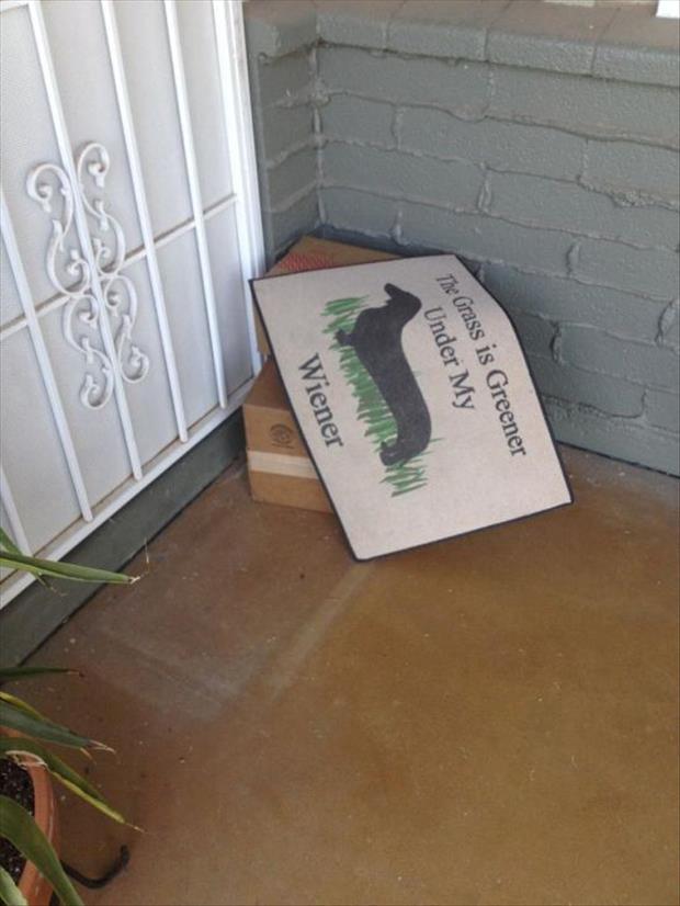 package under doormat - The Grass is Greener Under My Omni Wiener