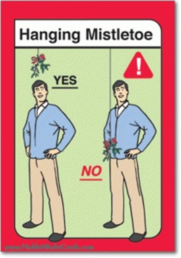 hanging mistletoe funny - Hanging Mistletoe Yes No