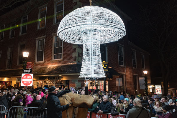 kennett mushroom drop