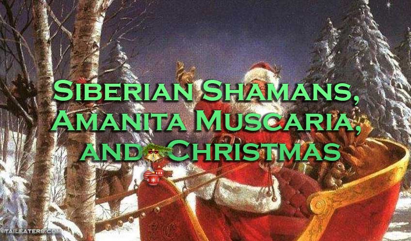 santa saying happy birthday - Siberianishamans, Amanita Muscaria. And Christmas Taileaters.Com