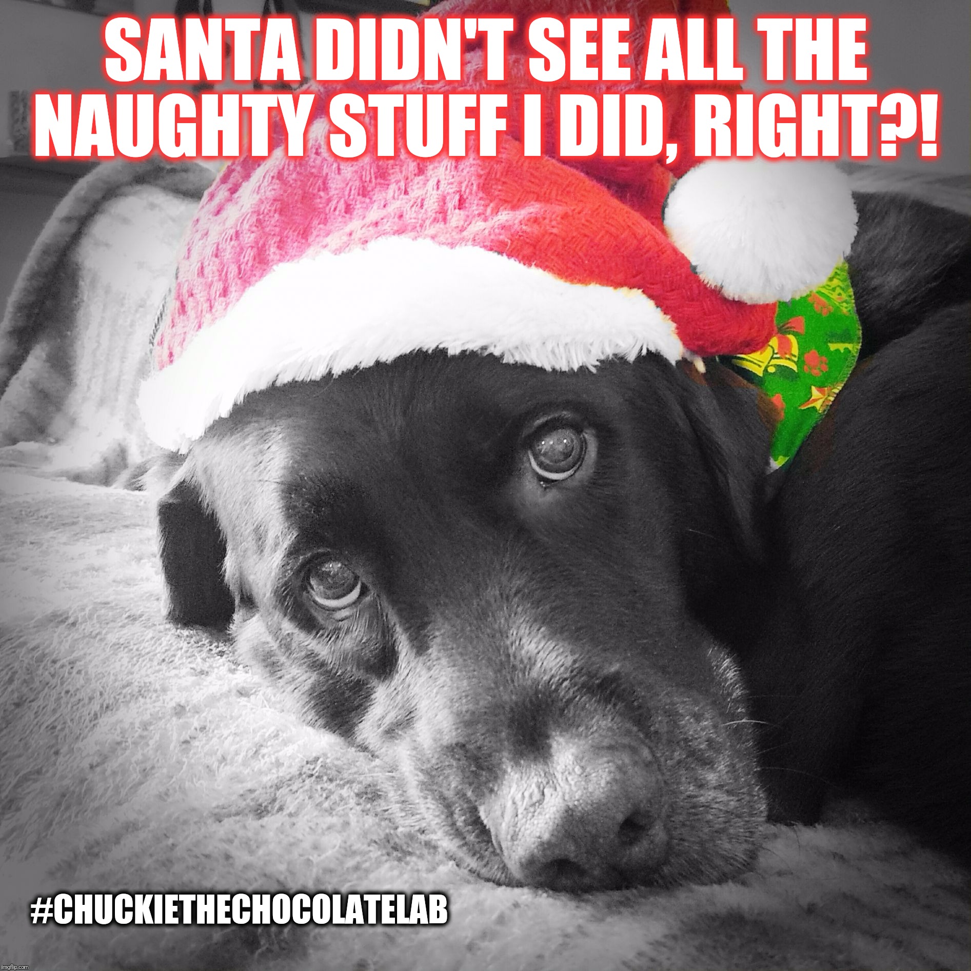 lab christmas memes - Santa Didn'T See All The Naughty Stuff I Did, Right?!