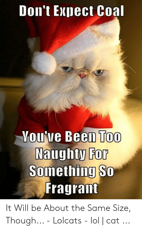 photo caption - Don't Expect Coal Vou've Been Too Naughty For Something So Fragrant It Will be About the Same Size, Though... Lolcats lolcat ...