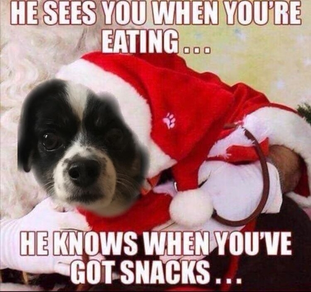 funny christmas memes - He Sees You When You'Re Eating... He Knows When You'Ve Got Snacks...