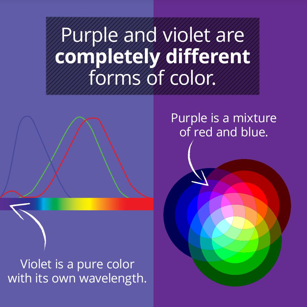 purple and violet the same - Purple and violet are completely different forms of color. Purple is a mixture of red and blue. Violet is a pure color with its own wavelength.