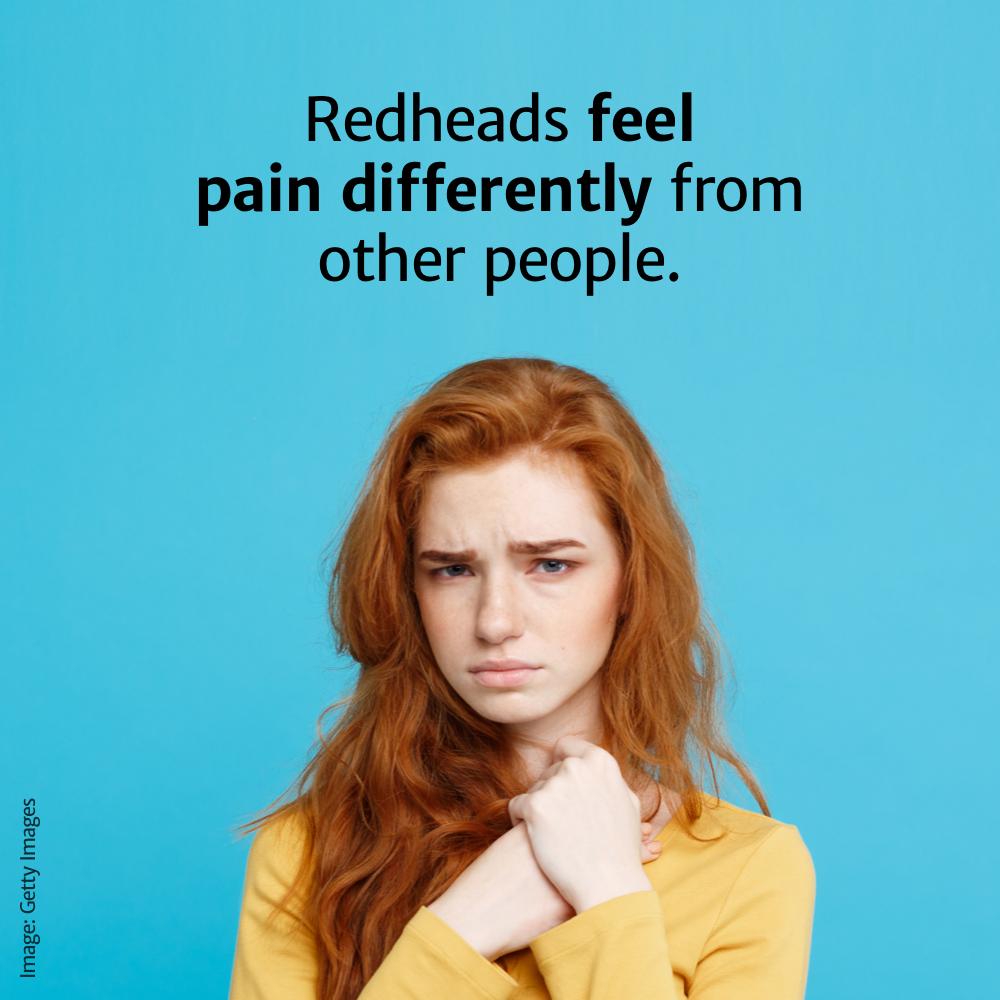 human behavior - Redheads feel pain differently from other people. Image Getty Images