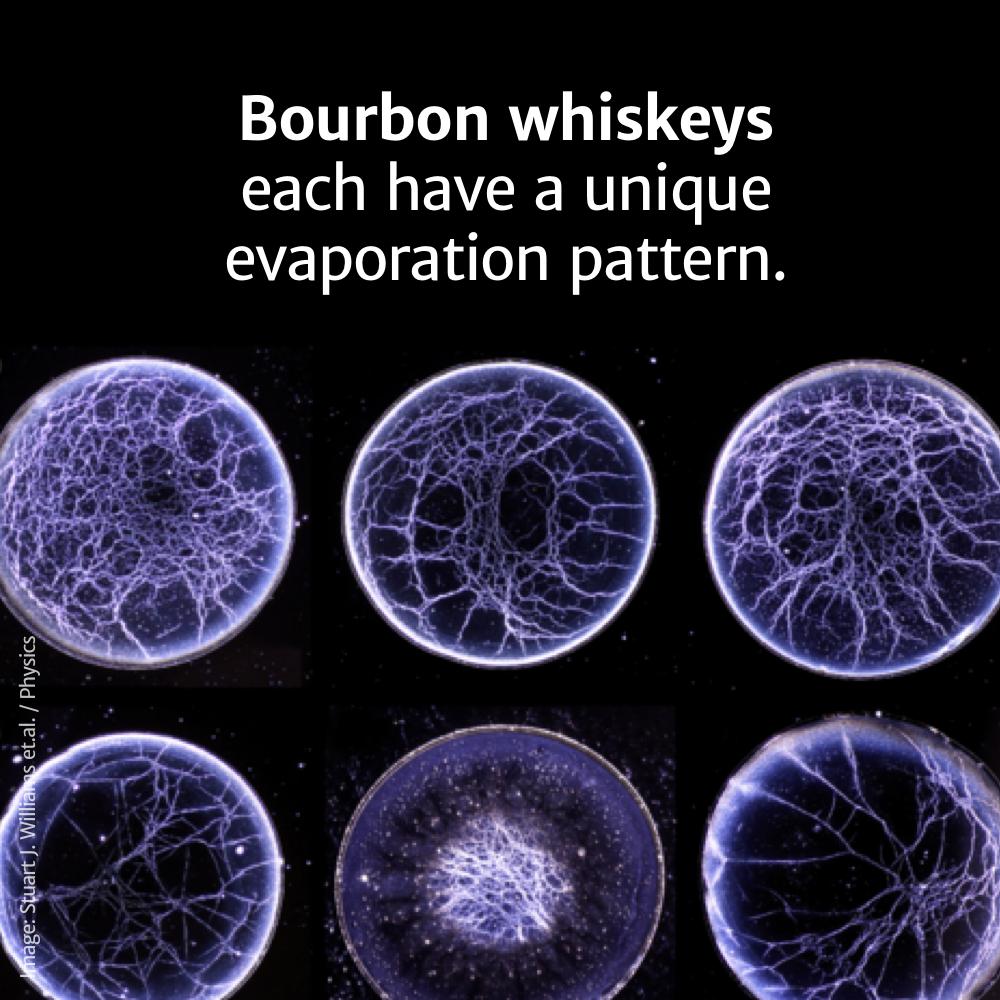 whiskey fingerprints - mage Stuart J. Williams et.al. Physics evaporation pattern. each have a unique Bourbon whiskeys