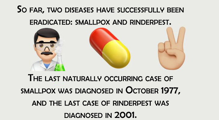 human behavior - So Far, Two Diseases Have Successfully Been Eradicated Smallpox And Rinderpest. The Last Naturally Occurring Case Of Smallpox Was Diagnosed In , And The Last Case Of Rinderpest Was Diagnosed In 2001.