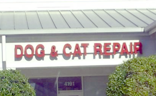 roof - | Dog & Cat Repair 4191