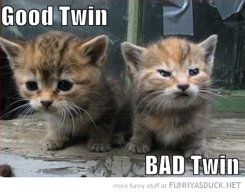 evil kittens - Good Twin Bad Twin more funny stuff at Funnyasduck.Net