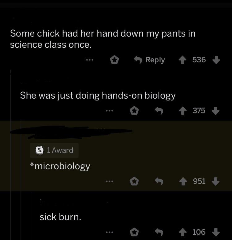 screenshot - Some chick had her hand down my pants in science class once. 536 She was just doing handson biology ... 375 1 Award microbiology ... 5 951 sick burn. ... 106