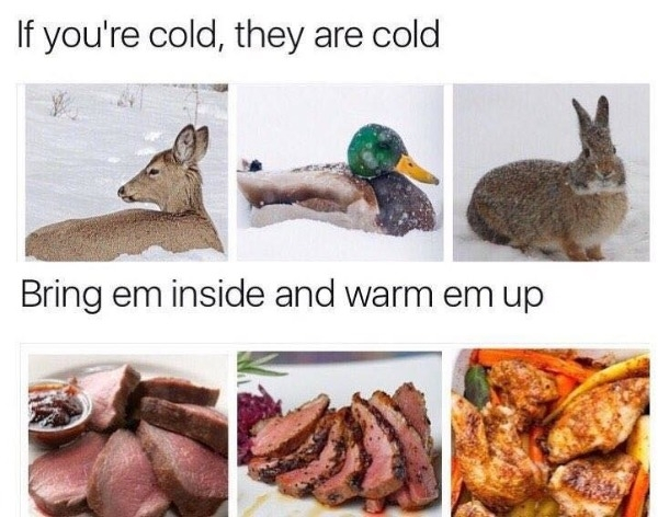 if you are cold they re cold meme - If you're cold, they are cold Bring em inside and warm em up