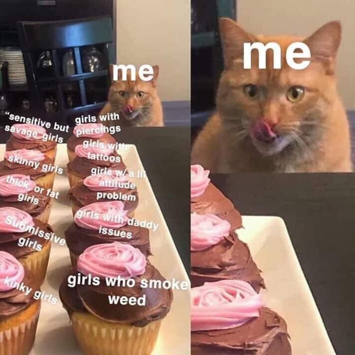 cat cupcake meme - me me "sensitive but pie savage girls girls with Skinny girls but piercings girls with tattoos giris wall attitude problem Athick, or fat girls giris with daddy Submissive issues girls kinky girls girls who smoke Weed