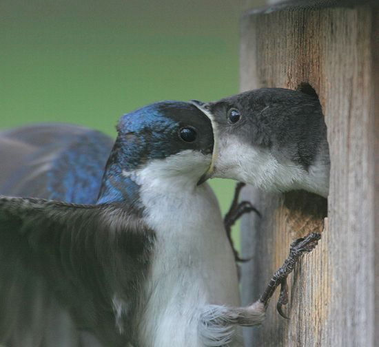 photography perfect timing