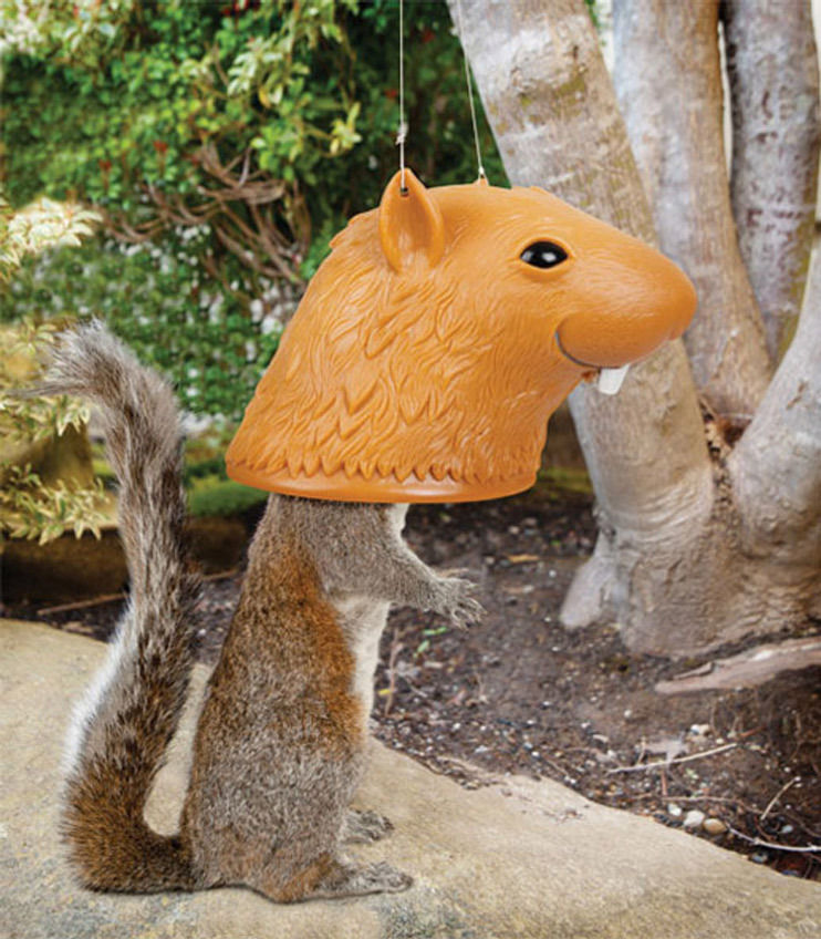 big head squirrel feeder