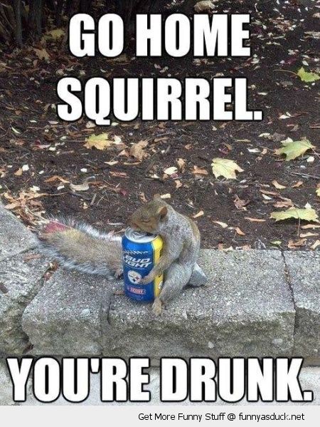 go home squirrel you re drunk - Go Home Squirrel You'Re Drunk. Get More Funny Stuff @ funnyasduck.net