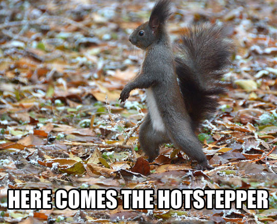 here comes the hotstepper meme - Here Comes The Hotstepper