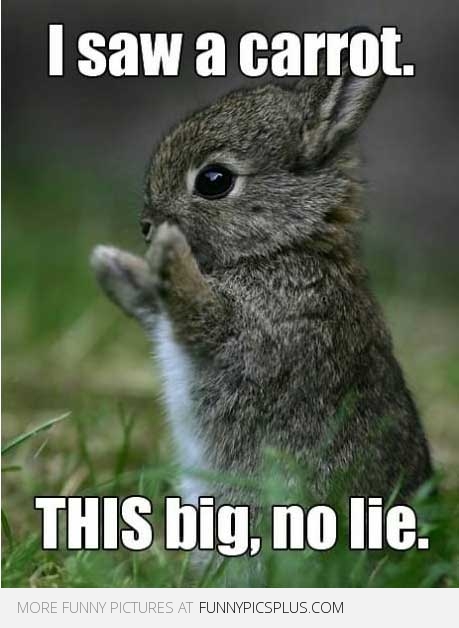 saw a carrot this big - I saw a carrot. This big, no lie. More Funny Pictures At Funnypicsplus.Com