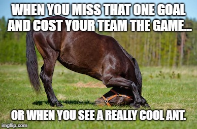 horse memes - When You Miss That One Goal And Cost Your Team The Game Or When You See A Really Cool Ant. imgflip.com