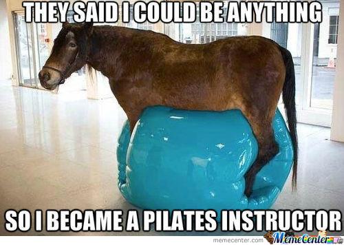 cute horse memes - They Said I Could Be Anything So I Became A Pilates Instructor memecenter.com Memetentera