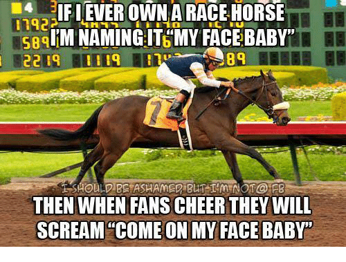 horse jockey memes - 14. If I Ever Own A Race Horse 17922 Asa I'M Naming It My Face Baby" 2219 NET19 107 8 9 Hinde Ee I Should Be Ashamed, But I'M Not Fb Then When Fans Cheer They Will Scream "Come On My Face Baby"