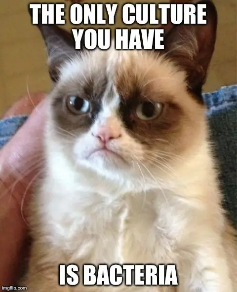 funny grumpy cat memes - The Only Culture You Have Is Bacteria imgflip.com