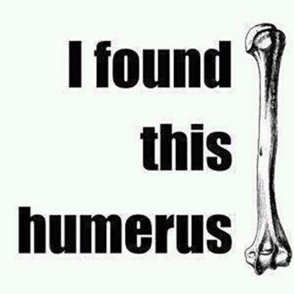 humor bone - I found this humerus