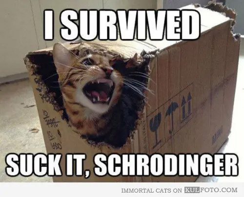 best science meme - I Survived Suck It, Schrodinger Immortal Cats On Kulfoto.Com