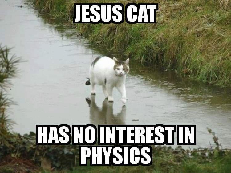jesus cat meme - Jesus Cat Has No Interestin Physics