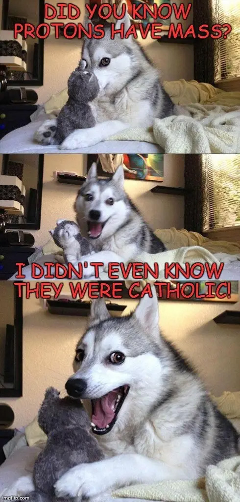 funny quotes dogs - Did You Know Protons Have Mass? I Didn'T Even Know They Were Catholic! imgflip.com