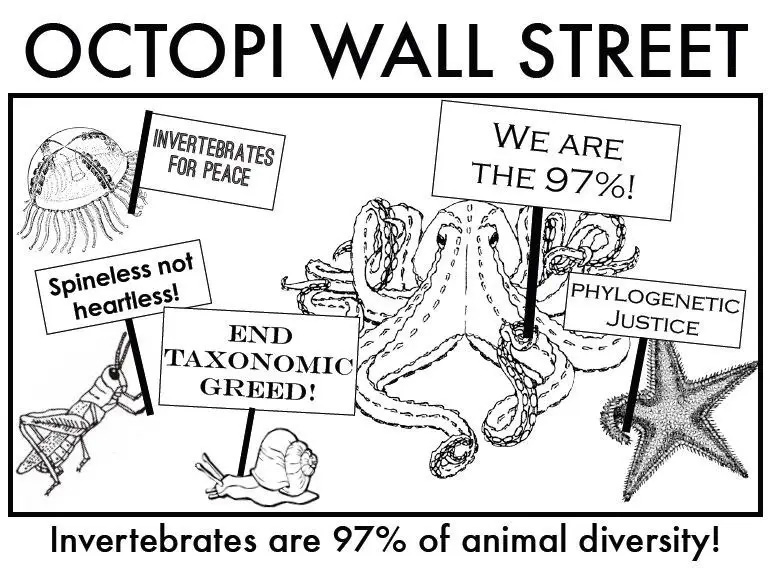 octopi wall street - Octopi Wall Street Invertebrates For Peace We Are The 97%! Ls Tur Spineless not heartless! 29 Phylogenetic Justice End Taxonomic Greed! Vo Day Invertebrates are 97% of animal diversity!