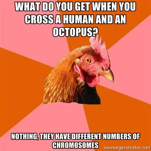 anti joke chicken - What Do You Get When You Cross A Human And An Octopus? Nothing. They Have Different Numbers Of Chromosomes mome Es memegenerator.net