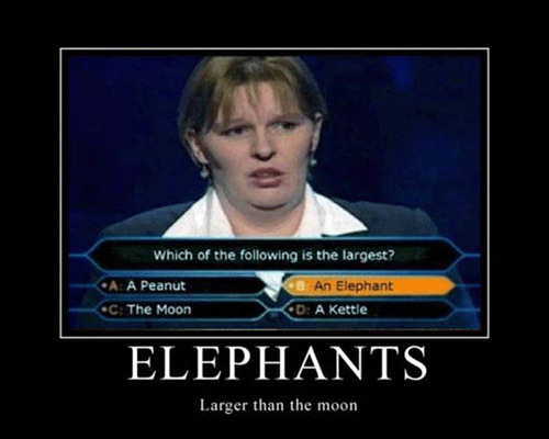 wants to be a millionaire - Which of the ing is the largest? A A Peanut @ An Elephant D A Kettle C The Moon Elephants Larger than the moon