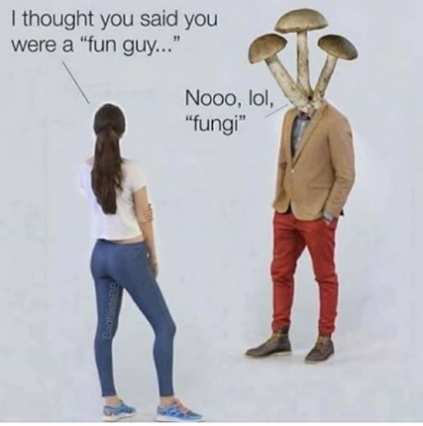 fun guy fungi - I thought you said you were a "fun guy...' Nooo, lol, "fungi"