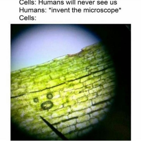 humans invent microscope meme - Cells Humans will never see us Humans invent the microscope Cells