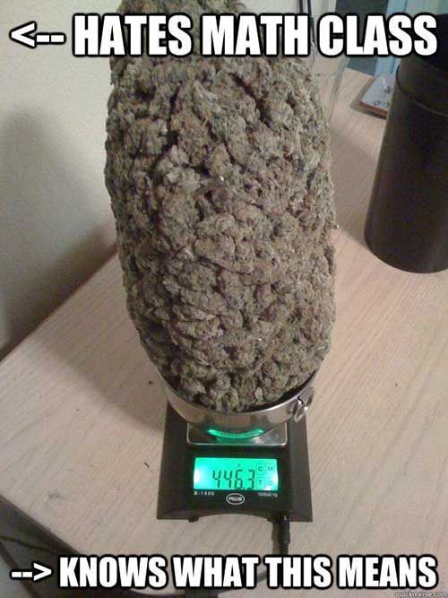 pound of weed -  Knows What This Means
