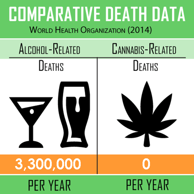 marijuana vs alcohol deaths - Comparative Death Data World Health Organization 2014 AlcoholRelated CannabisRelated Deaths Deaths 3,300,000 Per Year Per Year