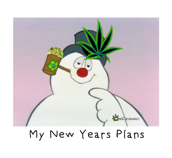 frosty the snowman memes - My New Years Plans