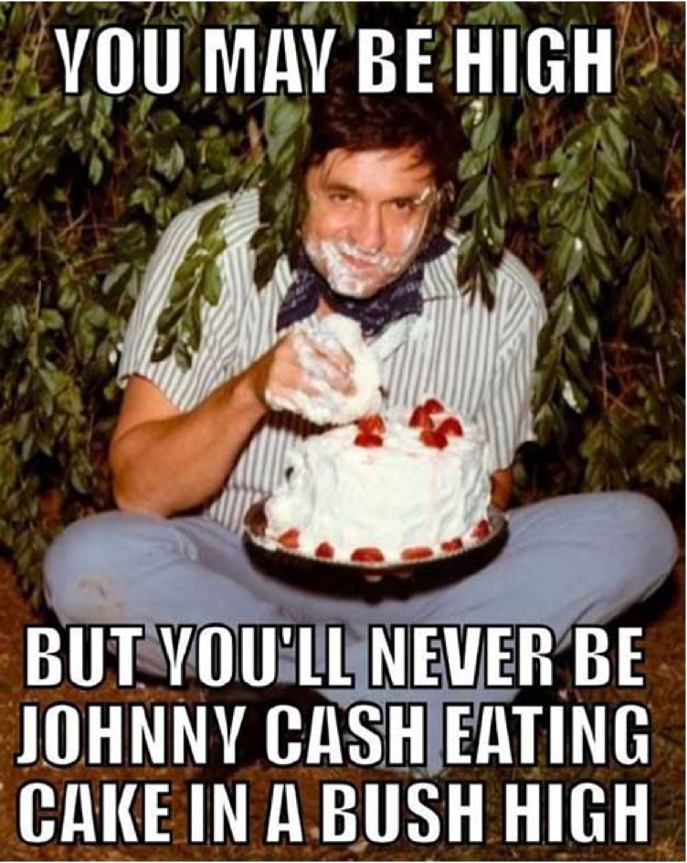 johnny cash eating cake in a bush high - E. You May Be High But You'Ll Never Be Johnny Cash Eating Cake In A Bush High