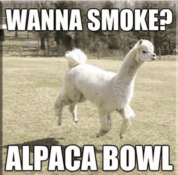 llama - Wanna Smoke? Alpaca Bowl